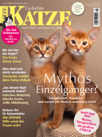Geliebte Katze