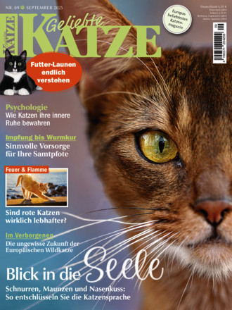 Geliebte Katze
