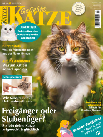 Geliebte Katze