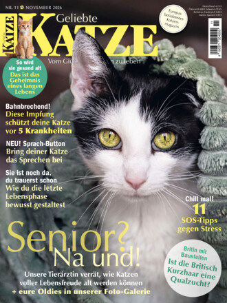 Geliebte Katze