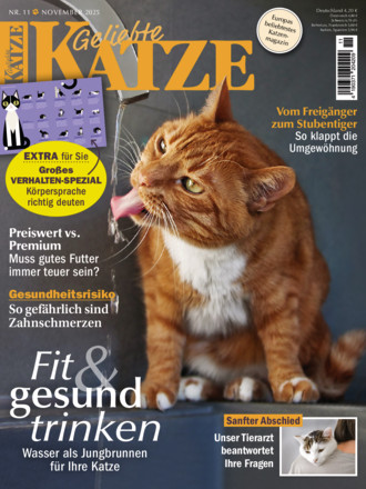 Geliebte Katze