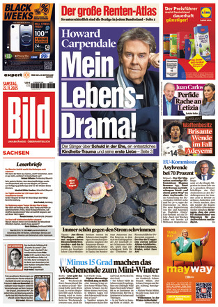 BILD Sachsen
