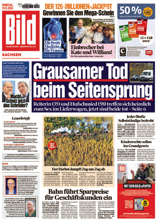 BILD Sachsen