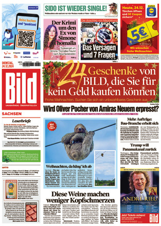 BILD Sachsen