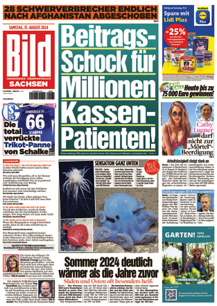 BILD Sachsen