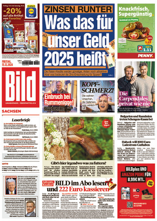 BILD Sachsen