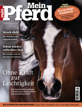 Mein Pferd