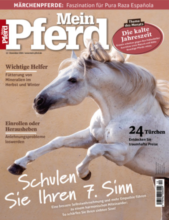 Mein Pferd