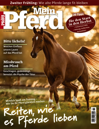 Mein Pferd - ePaper