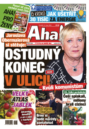 Aha! - ePaper