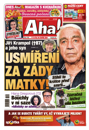 Aha! - ePaper