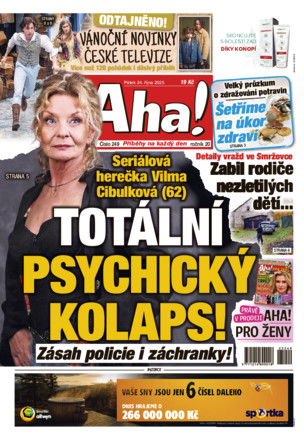 Aha! - ePaper