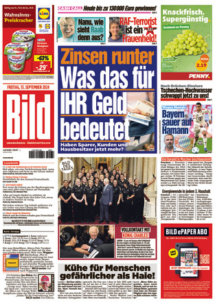 BILD - ePaper