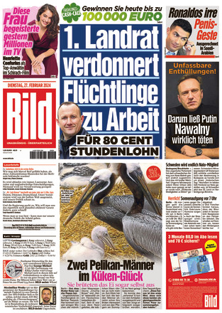 BILD - Zeitung Als EPaper Im IKiosk Lesen