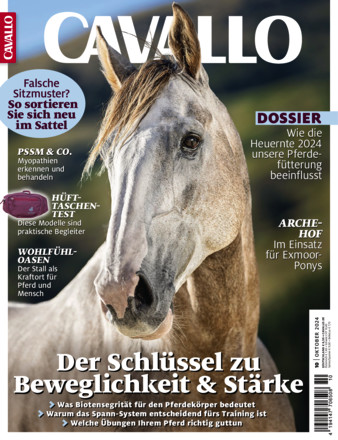 CAVALLO - ePaper