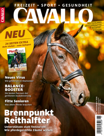 CAVALLO