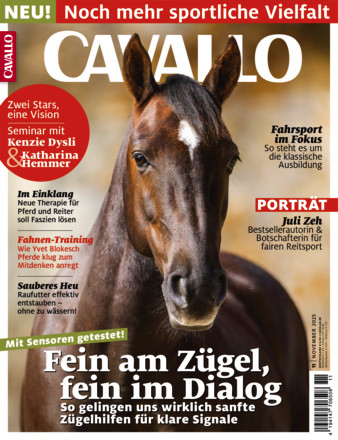 CAVALLO