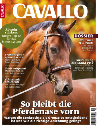 CAVALLO