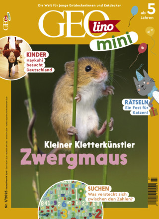 GEOlino mini