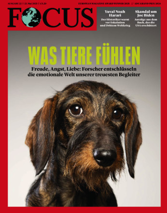 FOCUS