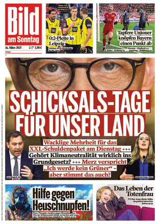 BILD AM SONNTAG