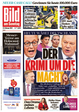 BILD AM SONNTAG - ePaper