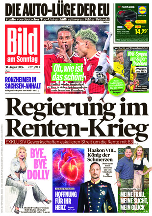BILD AM SONNTAG