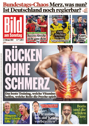 BILD AM SONNTAG - ePaper