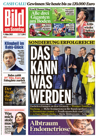 BILD AM SONNTAG - ePaper