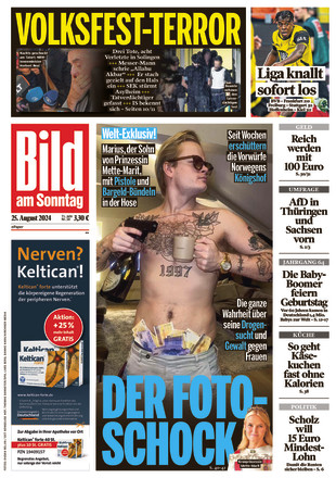 BILD AM SONNTAG