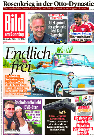 BILD AM SONNTAG