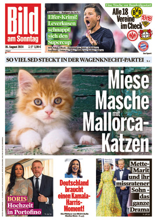 BILD AM SONNTAG