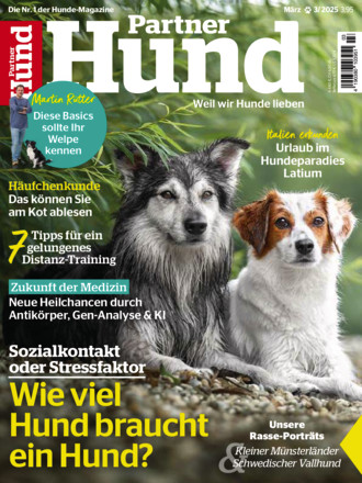 Partner Hund