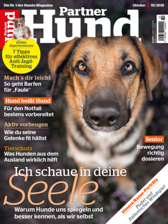 Partner Hund