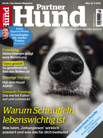 Partner Hund