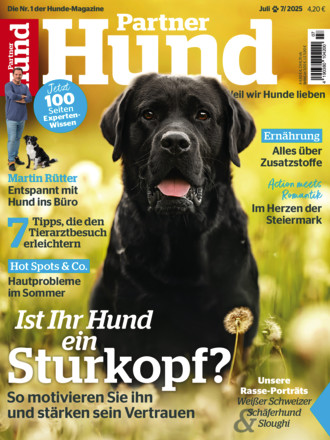 Partner Hund