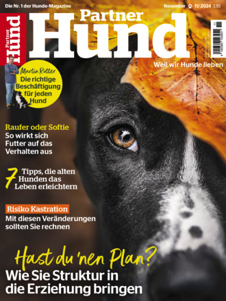 Partner Hund