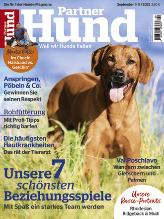Partner Hund