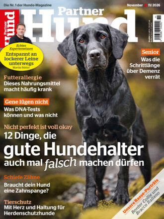 Partner Hund