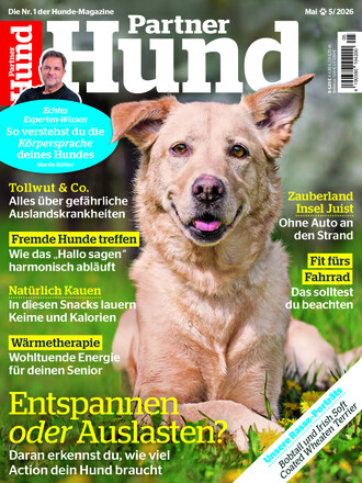 Partner Hund