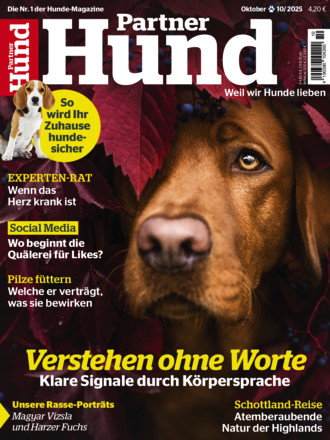 Partner Hund