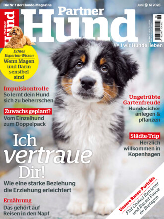 Partner Hund