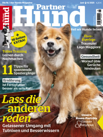 Partner Hund