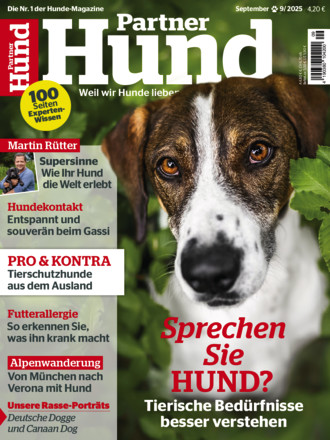 Partner Hund