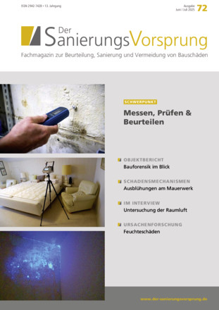 Der SanierungsVorsprung