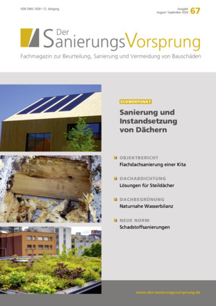 Der SanierungsVorsprung - ePaper