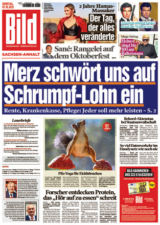 BILD Sachsen-Anhalt