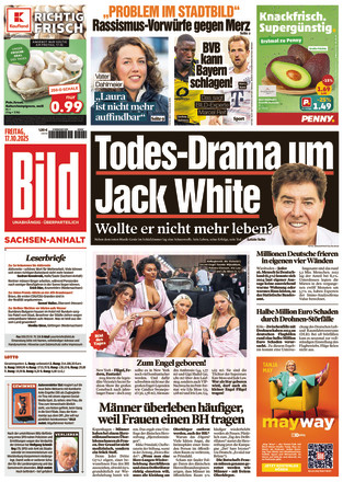 BILD Sachsen-Anhalt
