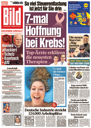 BILD Sachsen-Anhalt