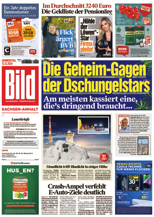 BILD Sachsen-Anhalt